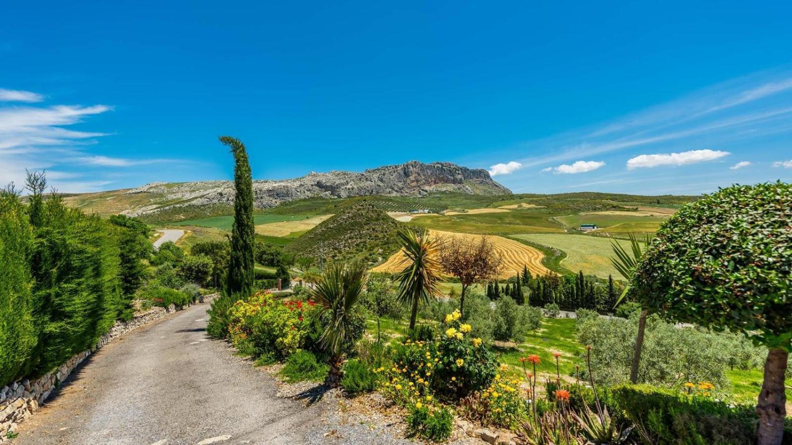 Вілла Casa Tere Antequera - La Higuera By Ruralidays Екстер'єр фото